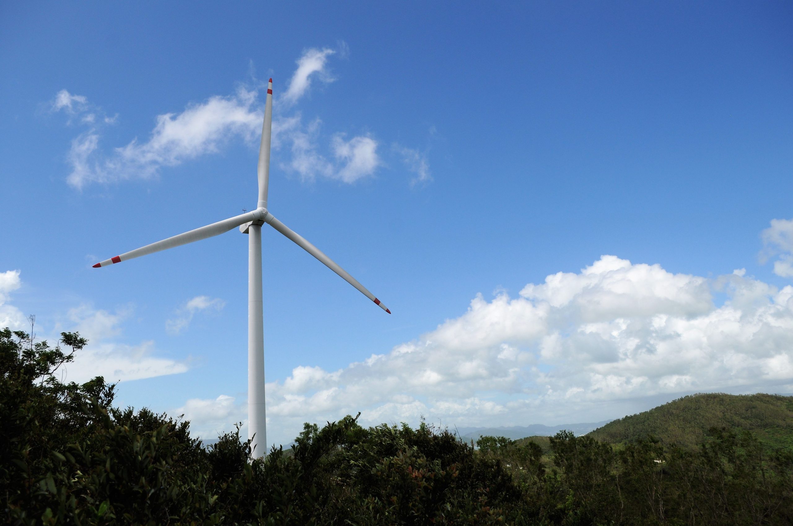 How Hong Kong’s budget can help the city fight climate change