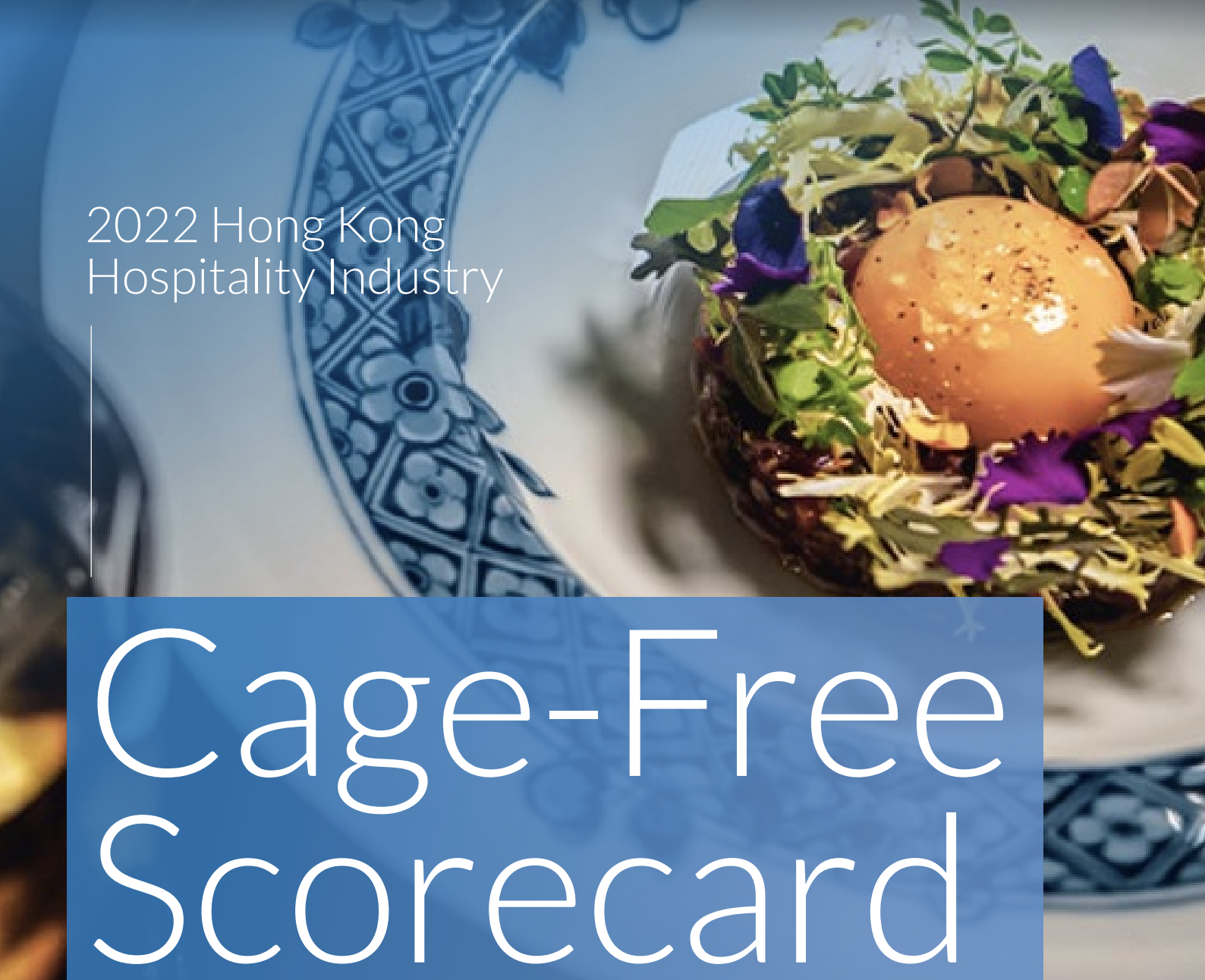 New Report Finds 75% of Hong Kong’s Hotel Industry Committed to Use Only Cage-Free Eggs Globally