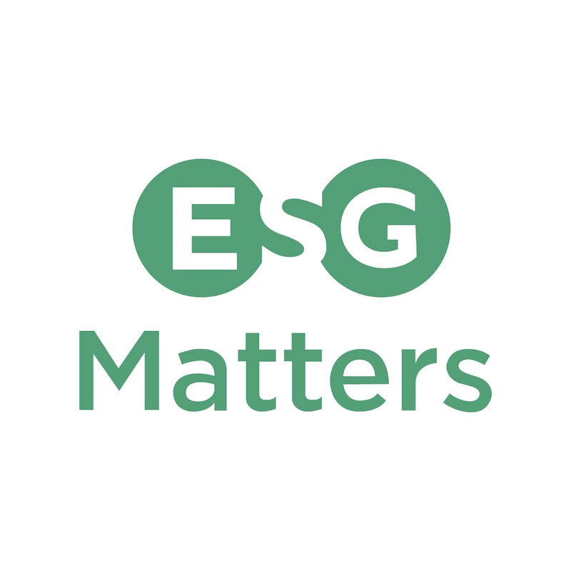 ESG Matters: How to become ‘ESG Ready’?