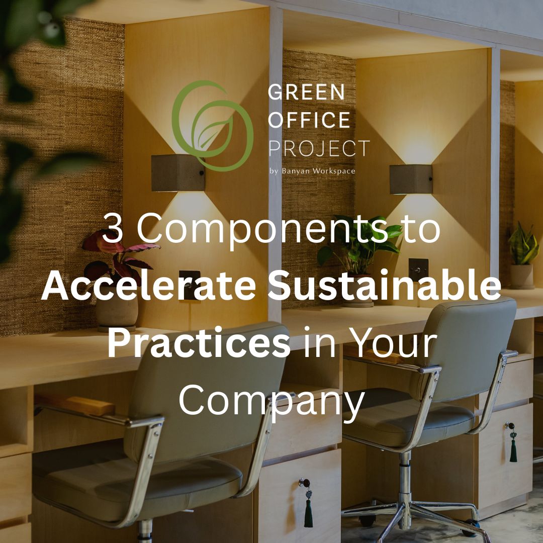 3 Components to Accelerate Sustainable Practices in Your Company