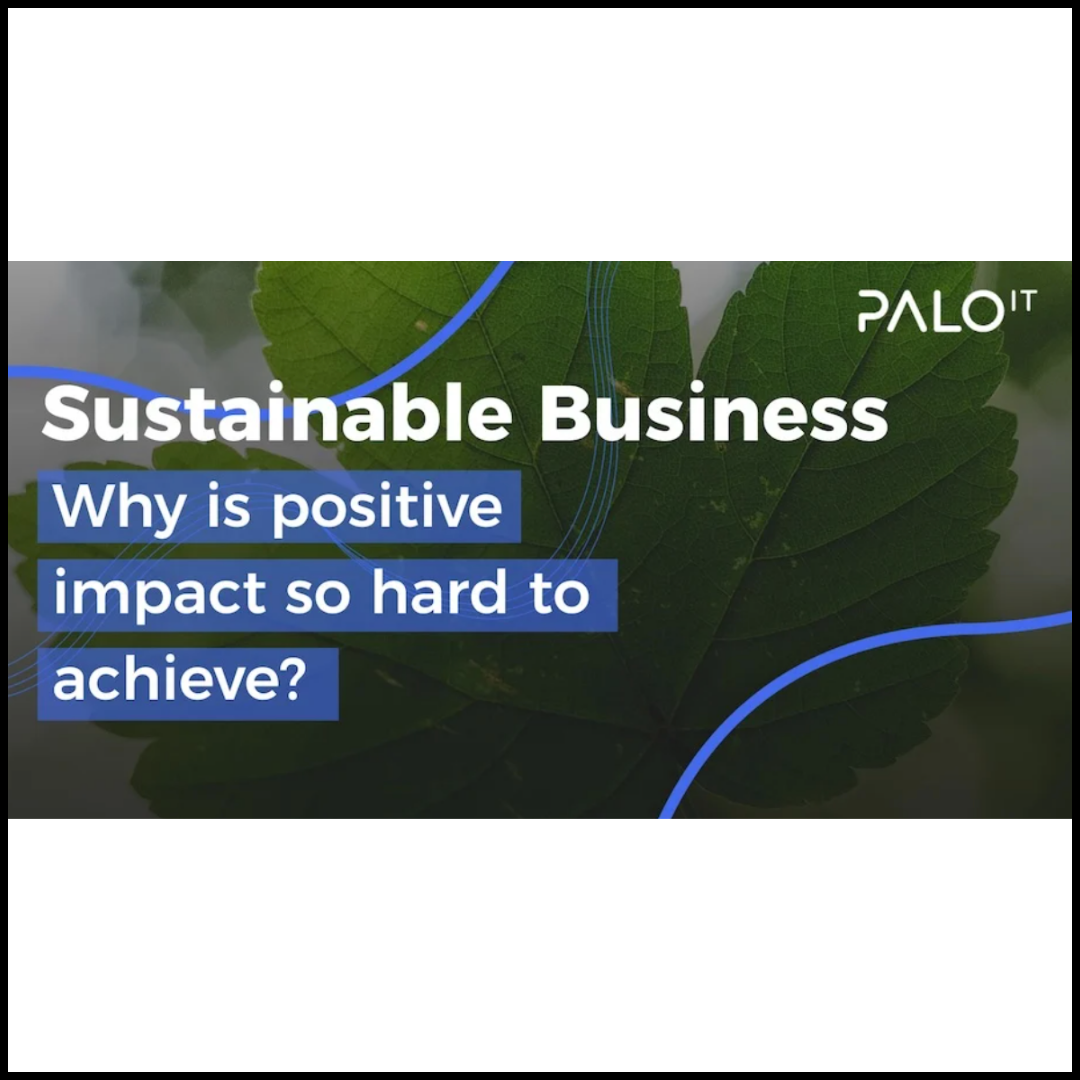 Sustainable Business: Why is positive impact so hard to achieve?