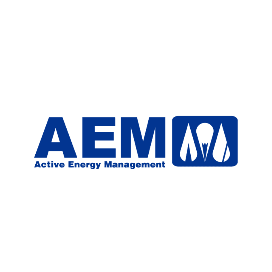 Integrated Audit Benefits from Active Energy Management Ltd