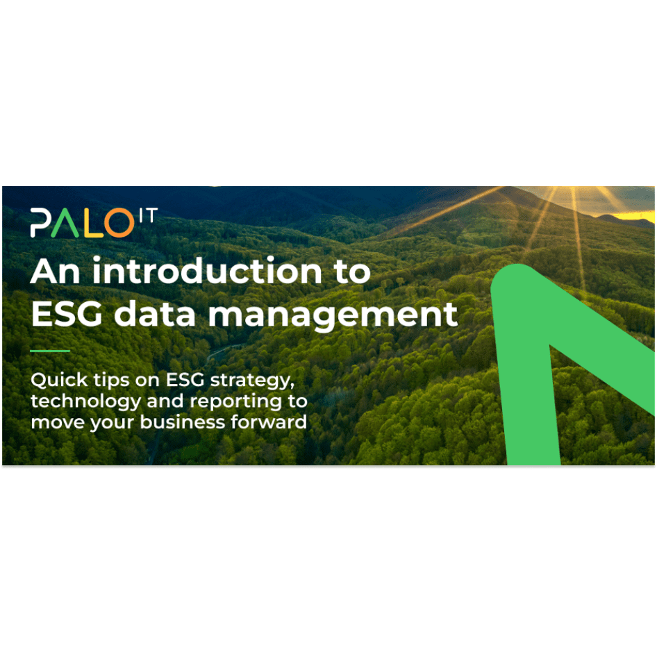 PALO IT’s Latest Report – Maximizing ROI with ESG data management