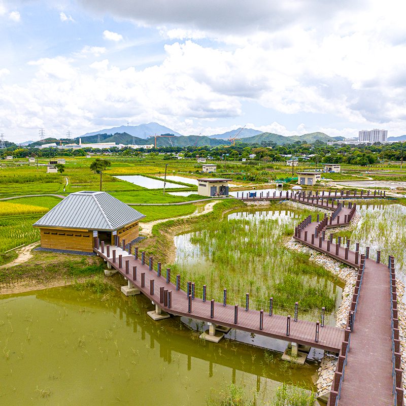 Explore an ecological haven in the Northern Metropolis