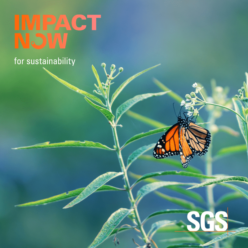 Protected: SGS Launches IMPACT NOW for Sustainability