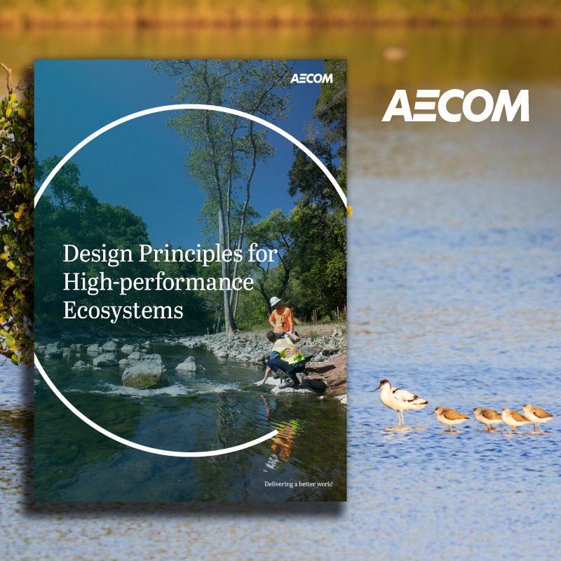 Discover the design principles leading to nature-positive cities