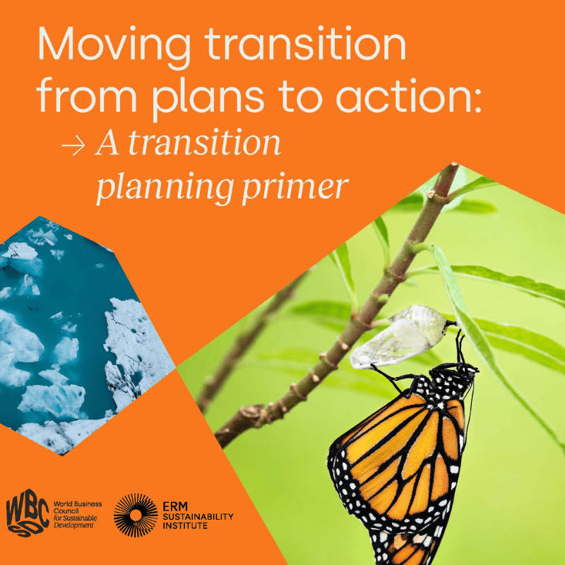 ERM: Moving transition from plans to action: A transition planning primer