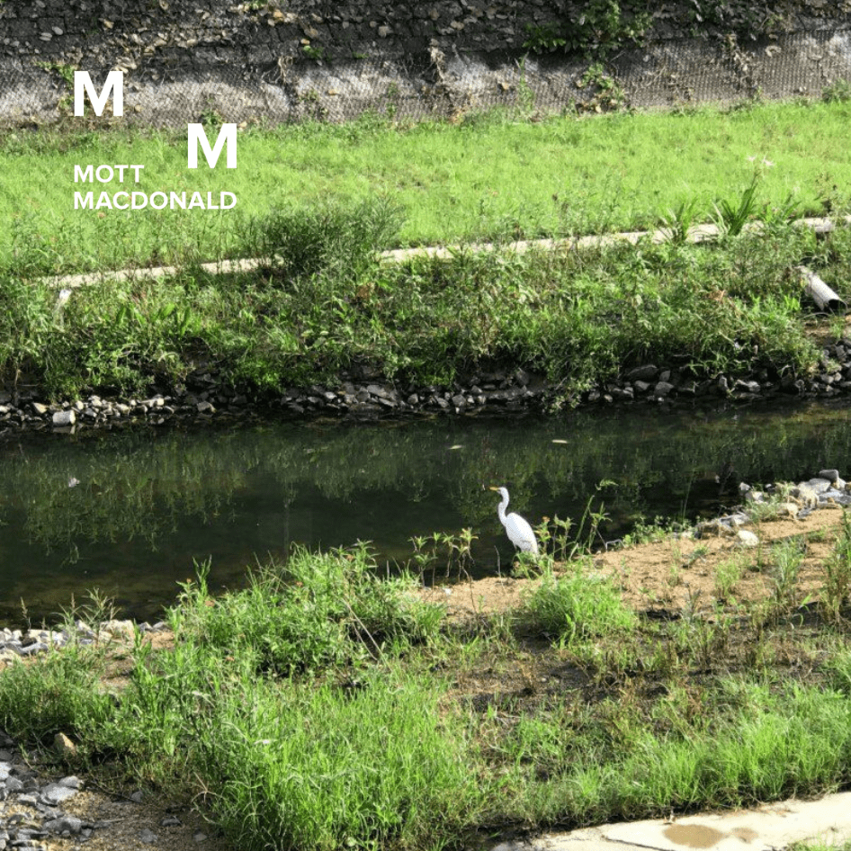 Are you looking for Nature-based Solutions?