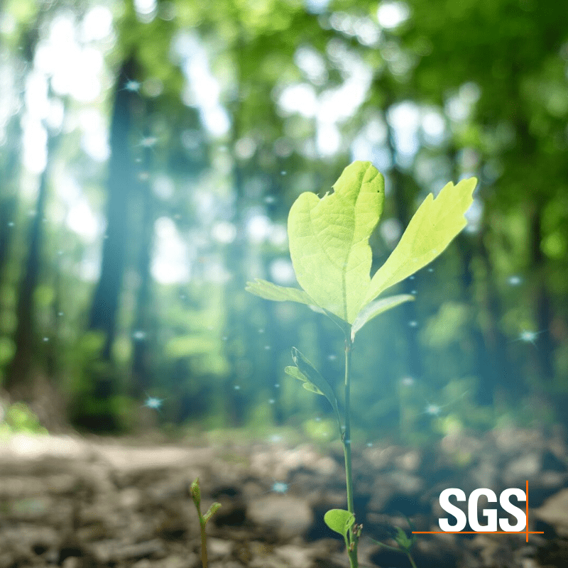 SGS Leads the TIC industry Again on TIME’s List of the World’s Most Sustainable Companies