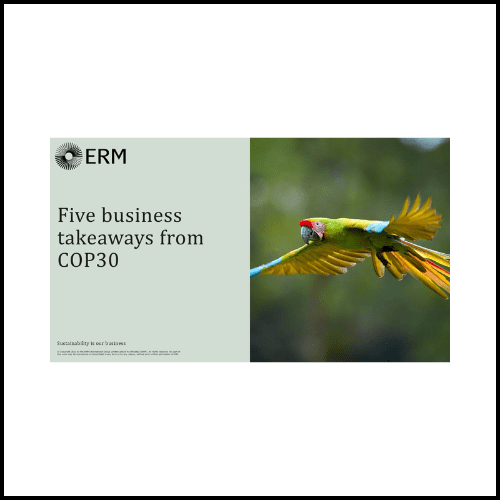 Five business takeaways from COP30