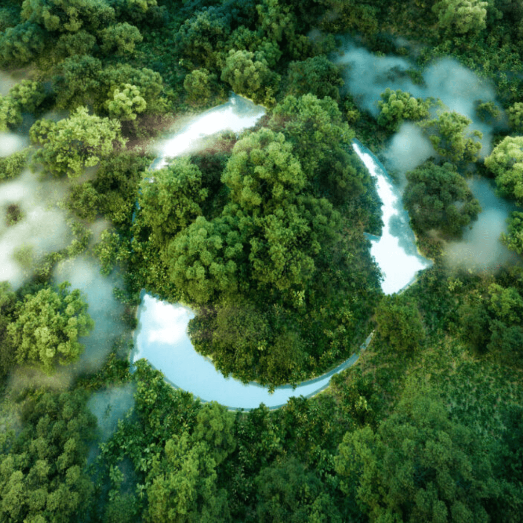 Green and Sustainable Banking: Evolving Trends and Corporate Impact