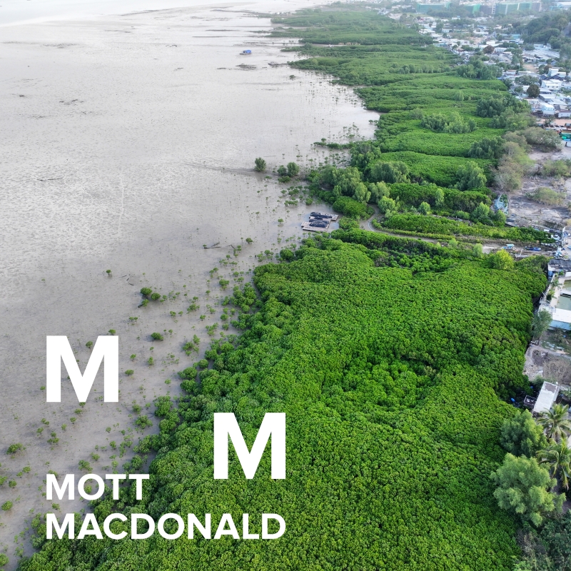Rediscovering Deep Bay: Why coastal ecosystems matter more than ever