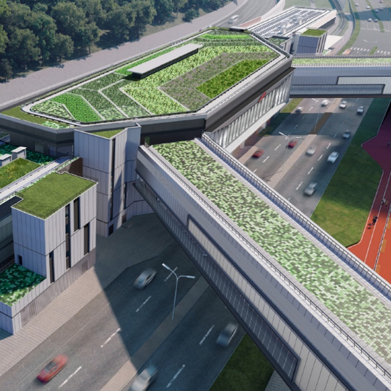 Advancing Carbon Neutrality Through Innovation and Sustainable Infrastructure