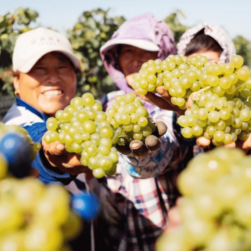 Sustainability Is Also About People